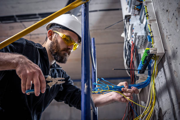 Best Electrical System Inspection  in Caledonia, MI