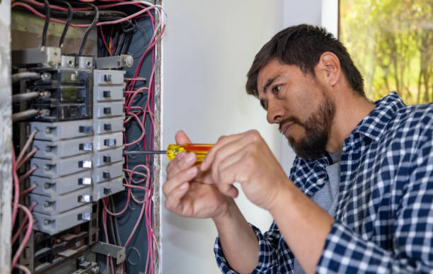 Best Electrical Troubleshooting Services  in Caledonia, MI